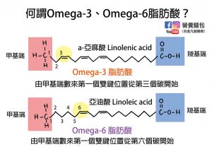 飽和脂肪酸、不飽和脂肪酸、Omega-3脂肪酸、Omega-6脂肪酸、反式脂肪酸是什麼？營養師畫圖解釋給你看！