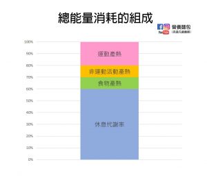 什麼是休息能量消耗跟總能量消耗？哪些因素會影響休息能量消耗？營養師帶你一次瞭解！