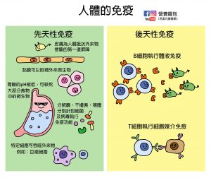 免疫力很重要！那些營養素有助於提升免疫力？讓營養師根據實證醫學告訴你！