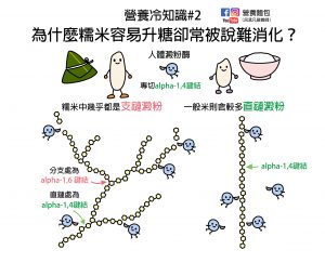 營養冷知識#2：為什麼糯米容易升糖又常被說難消化？營養師解析給你看！