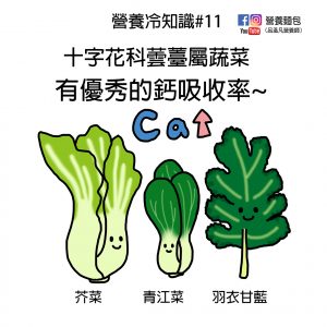 營養冷知識#11：十字花科蕓薹屬蔬菜有優秀的鈣吸收率！純素食者補鈣可以多攝取。