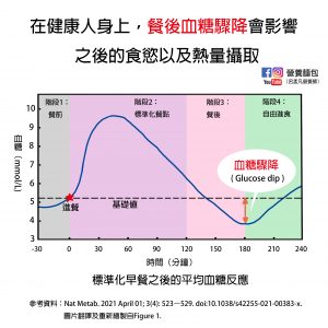 研究分享：在健康人身上，飯後血糖驟降會影響之後的食慾以及熱量攝取！營養師翻譯文獻給你看。