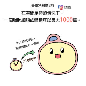 營養冷知識#23：脂肪細胞的體積可以長大1000倍！？是真的喔！讓營養師來告訴你。