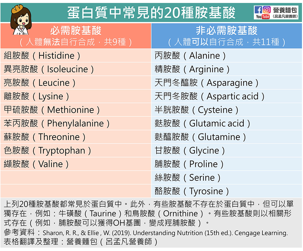 素食者連大豆類也不吃有辦法攝取充足的蛋白質嗎？營養師分析給你看。