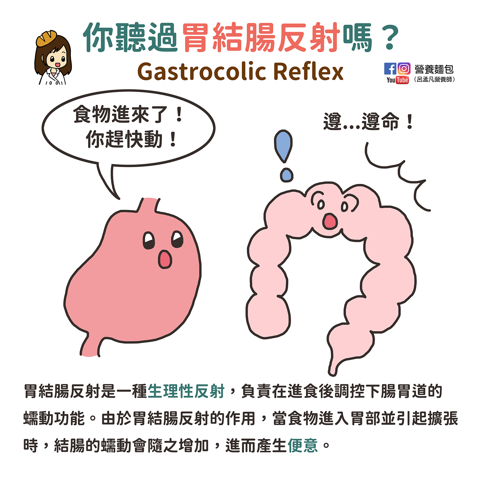 吃完早餐就想大便嗎？這可能是胃結腸反射。讓營養師簡單告訴你什麼是胃結腸反射。
